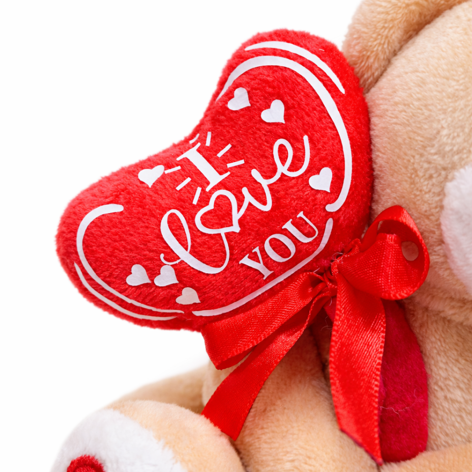 Sevimli Kalpli Peluş Ayıcık - Aşk Dolu Peluş Ayı - 19 CM